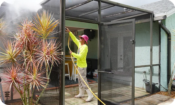 Soft Wash Services 3