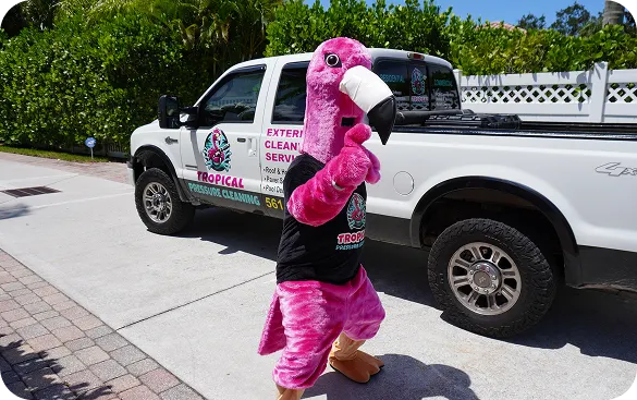 Soft Wash Services 4