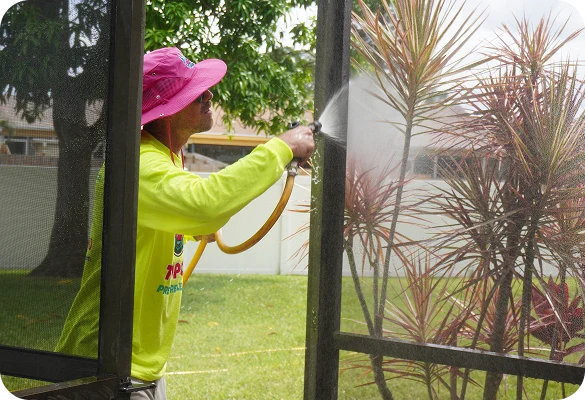 Commercial Window Washing 3